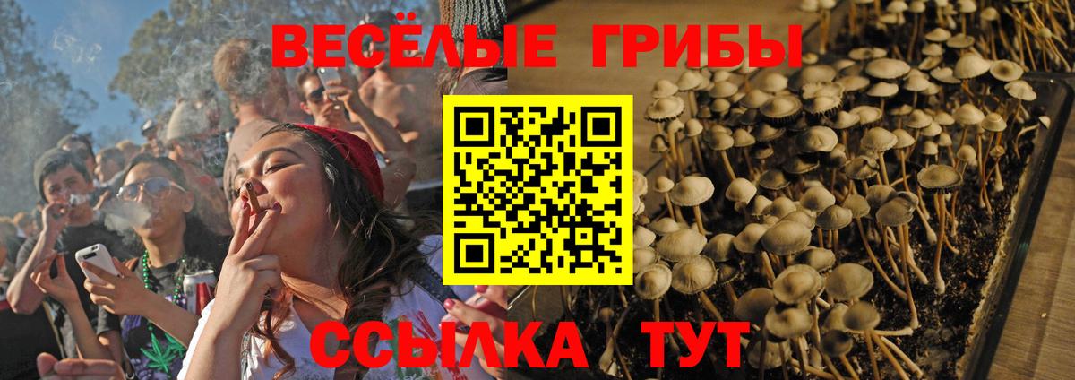 Краснотурьинск  Галлюциногенные грибы прущие грибы  Вход с VPN 